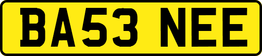 BA53NEE