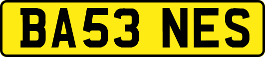 BA53NES