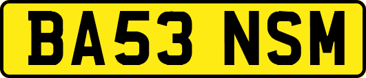 BA53NSM