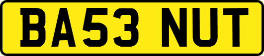 BA53NUT