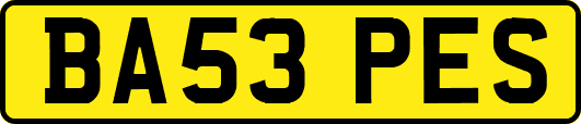 BA53PES
