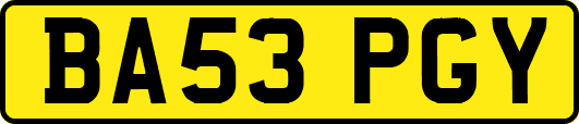 BA53PGY