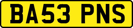 BA53PNS