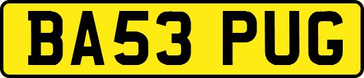 BA53PUG