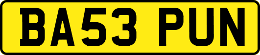 BA53PUN