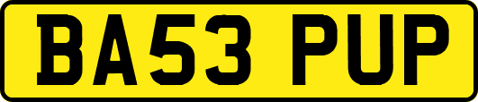 BA53PUP