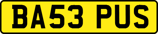 BA53PUS