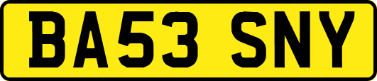BA53SNY