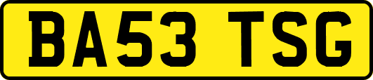 BA53TSG