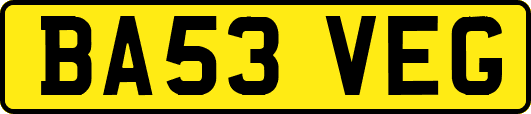 BA53VEG