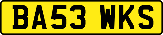 BA53WKS