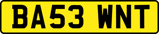 BA53WNT