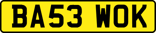 BA53WOK