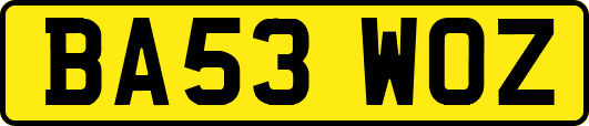 BA53WOZ