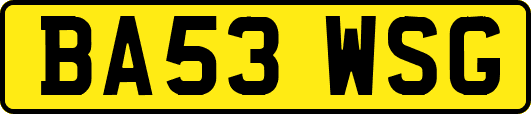 BA53WSG