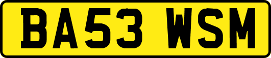 BA53WSM