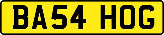 BA54HOG