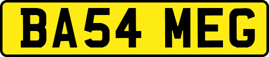 BA54MEG