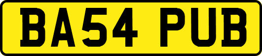 BA54PUB