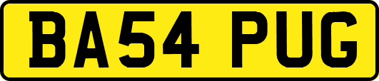 BA54PUG