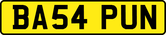 BA54PUN