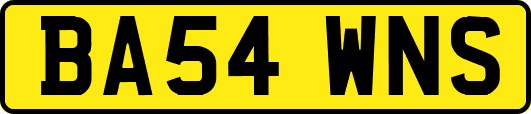 BA54WNS
