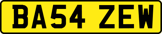 BA54ZEW