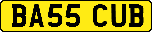 BA55CUB