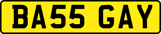 BA55GAY