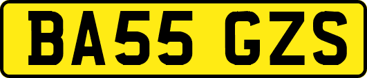 BA55GZS