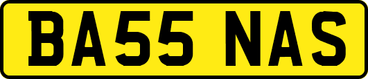 BA55NAS