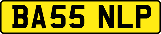 BA55NLP