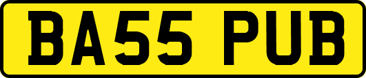 BA55PUB