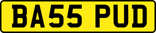 BA55PUD
