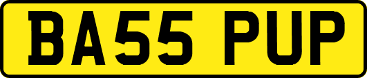 BA55PUP