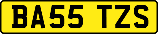 BA55TZS