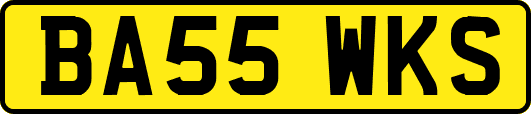 BA55WKS