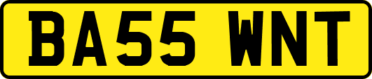 BA55WNT