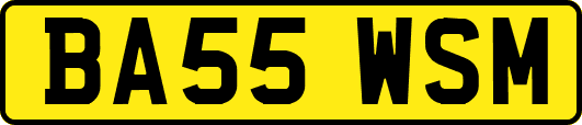 BA55WSM
