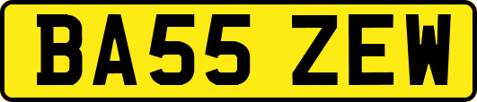 BA55ZEW