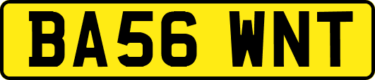 BA56WNT