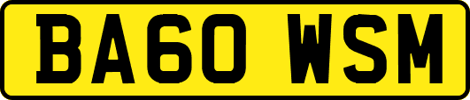 BA60WSM