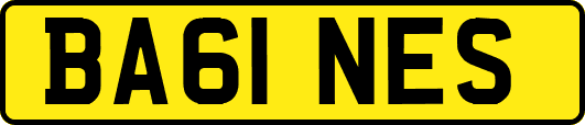 BA61NES