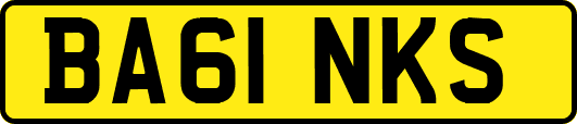 BA61NKS