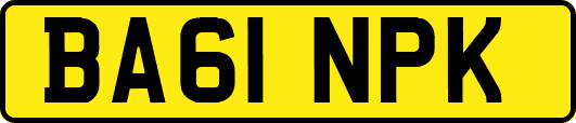 BA61NPK