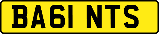 BA61NTS