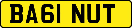 BA61NUT