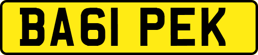 BA61PEK