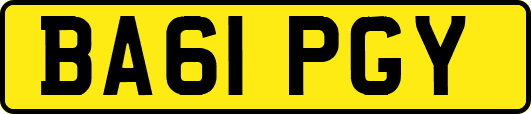 BA61PGY