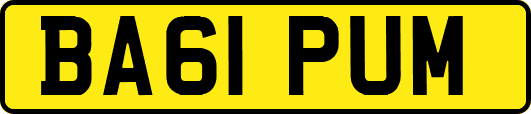 BA61PUM